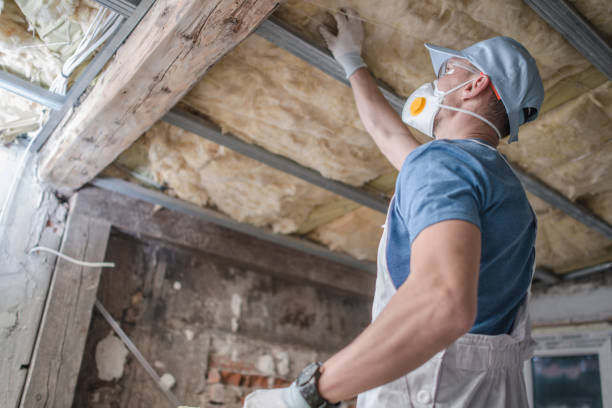 Best Insulation Maintenance and Repair in Hazel Green, AL
